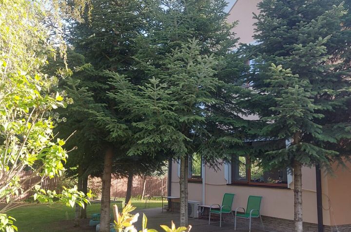 SNAGOV vila foarte spatioasa, curte amenajata, garaj, panouri fotovoltaice anunturi imobiliare Bucuresti