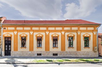 Vilă cu caracter, renovată complet, str. George Coșbuc anunturi imobiliare Arad