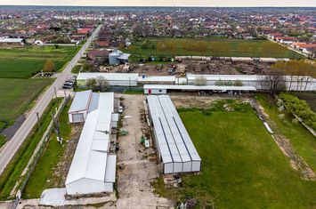 Hale depozitare/producție 2.000 mp si 10.000 mp teren în Pecica anunturi imobiliare Arad