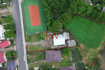 Casă - 3 camere de vanzare RADASENI - Suceava anunturi imobiliare Suceava