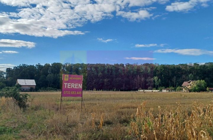 Gulia teren 11.157 mp, lângă Pădurea Cereanca anunturi imobiliare Dambovita