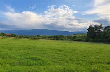 Teren de vanzare CISNADIE - Sibiu anunturi imobiliare Sibiu
