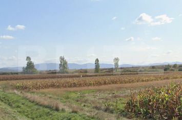 Teren de vanzare PERICEI - Salaj anunturi imobiliare Salaj