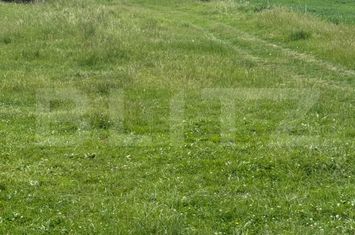 Teren de vanzare DEJ - Cluj anunturi imobiliare Cluj