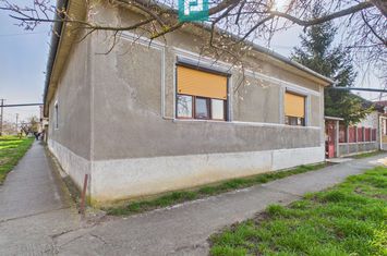 Casă cu 3 camere din văiugă în Macea anunturi imobiliare Arad