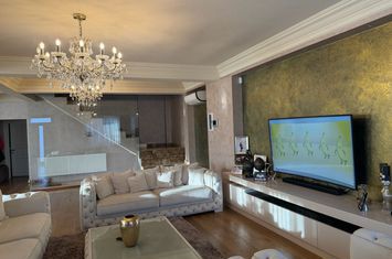Vilă - 8 camere de vanzare PLAIUL VULCANESTI - Dolj anunturi imobiliare Dolj