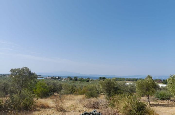 Teren 2.088 mp în Ormos Prinou, vedere la mare anunturi imobiliare Grecia