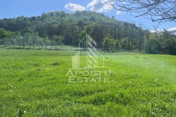 Teren intravilan, partial imprejmuit - Pojoga, com. Zam anunturi imobiliare Hunedoara