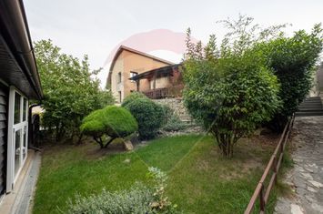 Vilă spectaculoasă de vânzare în Făget anunturi imobiliare Cluj