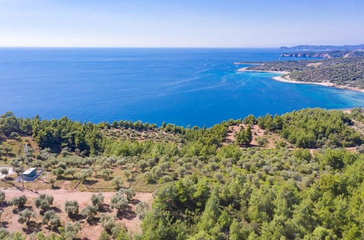 Teren agricol 5.031 mp în Astris, Thassos anunturi imobiliare Grecia