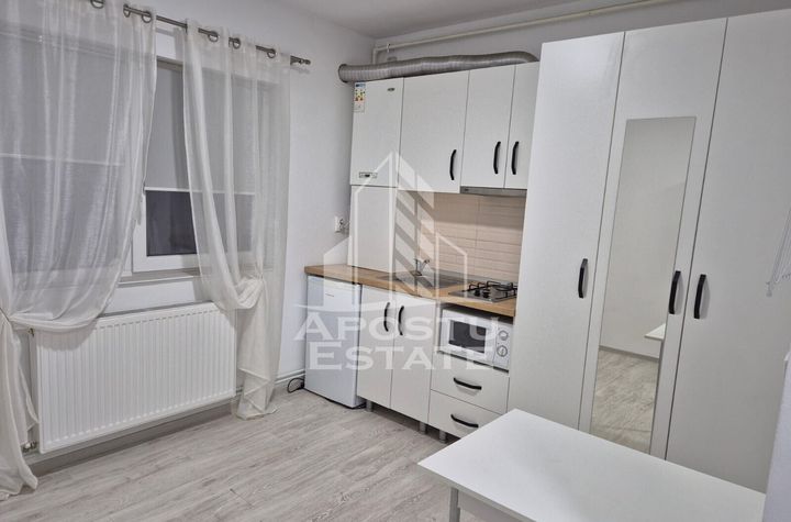 Garsoniera, centrala proprie, Zona AEM anunturi imobiliare Timis