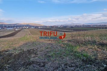 Teren Intravilan de vanzare BARABANT - Alba anunturi imobiliare Alba