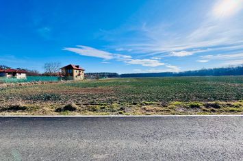 Teren Ciofliceni lângă pădure,Utilități complete Comision 0 anunturi imobiliare Bucuresti