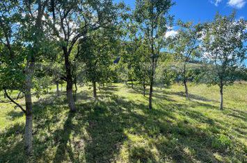Teren de vanzare BISTRITA - Bistrita-Nasaud anunturi imobiliare Bistrita-Nasaud