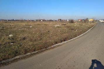 Fundulea anunturi imobiliare Calarasi