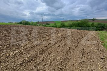 Teren de vanzare SUCEAVA - Suceava anunturi imobiliare Suceava