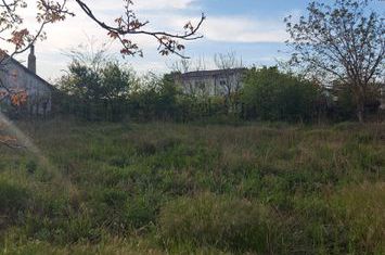 TEREN INTRAVILAN CARTIERUL DE VILE anunturi imobiliare Constanta