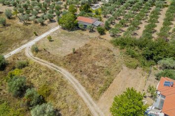 Teren construibil 967 mp în Nea Vrasna anunturi imobiliare Grecia