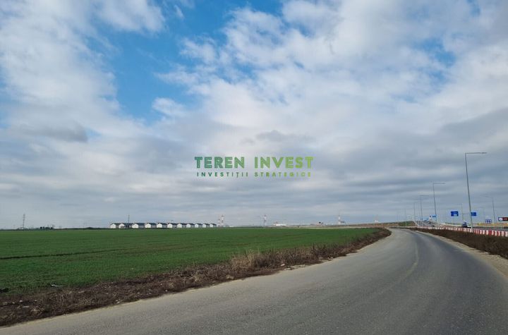 TEREN INDUSTRIAL 8000 MP – LA DN4, ACCES DIRECT! anunturi imobiliare Bucuresti