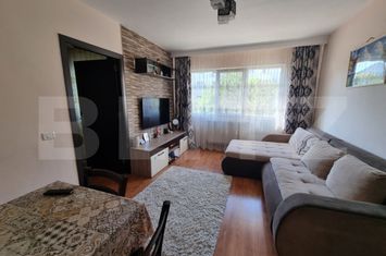 Apartament 3 camere de vanzare IASI - Iasi anunturi imobiliare Iasi