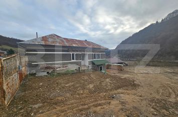Casă - 3 camere de vanzare MIHOESTI - Alba anunturi imobiliare Alba
