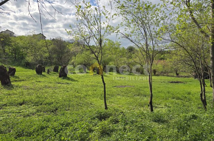 Teren de vanzare CIURILA - Cluj anunturi imobiliare Cluj