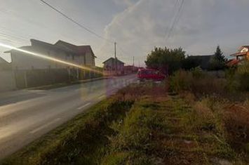 Teren bun pentru 2 sau 3 case aproape de Bucuresti. anunturi imobiliare Bucuresti