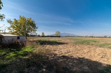 Teren construibil 7.444,17 mp în Dato, Kavala anunturi imobiliare Grecia