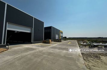 Spațiu industrial de inchiriat DRISTOR - Bucuresti anunturi imobiliare Bucuresti
