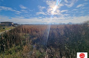 Teren Intravilan de vanzare NAZNA - Mures anunturi imobiliare Mures