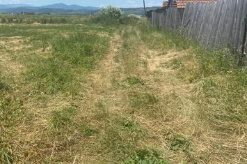 Teren de vanzare RASNOV - Brasov anunturi imobiliare Brasov