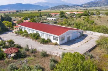 Spațiu industrial 1.000 mp pe teren 3.000 mp anunturi imobiliare Grecia