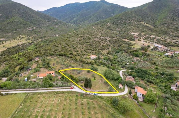 Teren construibil 2.993 mp în Ano Lefki anunturi imobiliare Grecia