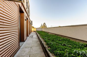 Exclusivitate si prestigiu: Spatiu de birouri premium ultracentral anunturi imobiliare Arad