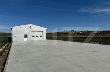 Spațiu industrial de inchiriat CRAIOVA - Dolj anunturi imobiliare Dolj