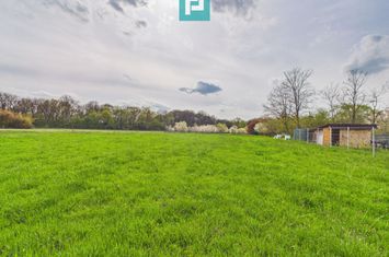 Teren intravilan, 820 mp, Pădure Giroc anunturi imobiliare Timis