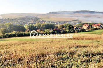 Teren 25.000 mp.  Comuna Voiniceni ,12 euro mp.comision ZERO anunturi imobiliare Mures