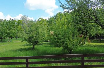 Birou de vanzare CENTRAL - Suceava anunturi imobiliare Suceava