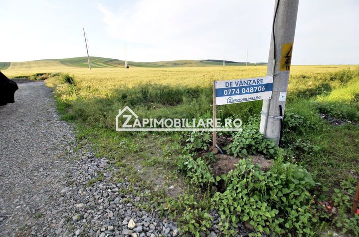 Teren intravilan 525 mp.50euro mp. anunturi imobiliare Mures
