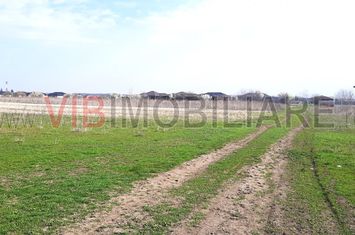 Corbeanca - Tamas, teren intravilan 19.325 mp anunturi imobiliare Bucuresti