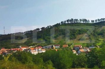 Teren de vanzare PACLISA - Alba anunturi imobiliare Alba