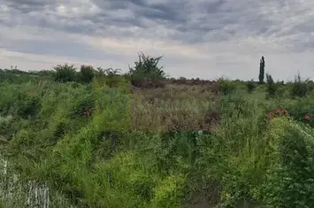 Teren Corbeanca- Drumul Garii Odai. anunturi imobiliare Bucuresti