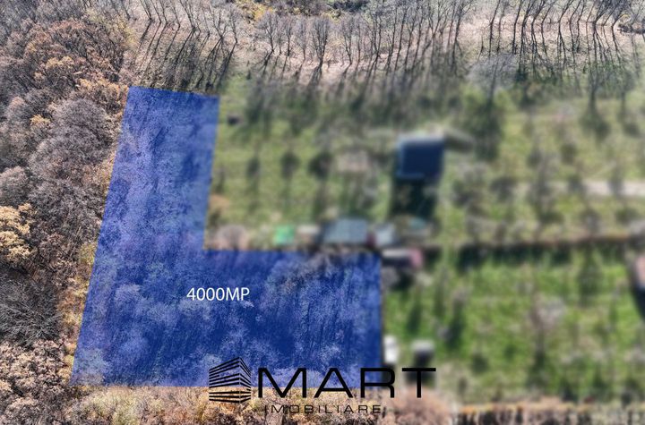 Teren de vanzare SADU - Sibiu anunturi imobiliare Sibiu