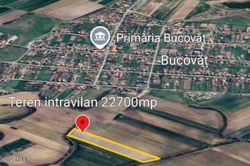 Bucovat - Lot Intravilan 2.27 Ha, PUZ inceput, Rezidential + Servicii anunturi imobiliare Timis