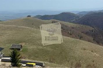 Teren Intravilan de vanzare EXTERIOR SUD - Sibiu anunturi imobiliare Sibiu