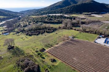 Teren agricol 4.755 mp în Mirtofito, Kavala anunturi imobiliare Grecia
