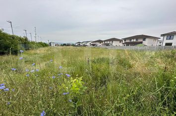 Teren de vanzare CETATE - Alba anunturi imobiliare Alba