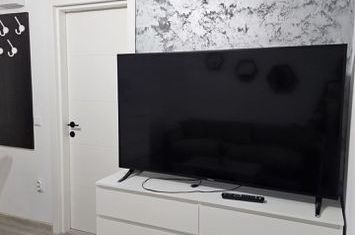 Apartament de inchiriat 2 camere Copou Garden anunturi imobiliare Iasi