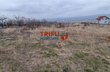 Teren Intravilan de vanzare CENTRAL - Alba anunturi imobiliare Alba