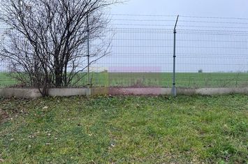 Teren Domnesti- Depozit Altex, Emag. anunturi imobiliare Bucuresti